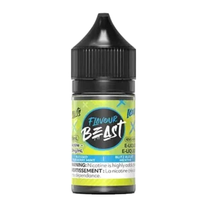 Flavour Beast blessed blueberry mint Salt 30ml