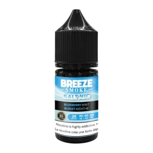 Breeze salt 30ml Blueberry mint