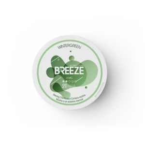 breeze wintergreen 20pcs breeze wintergreen 20pcs