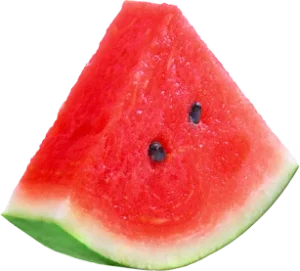 flavour beast Level X Boost 25k g2 Weekend Watermelon ice